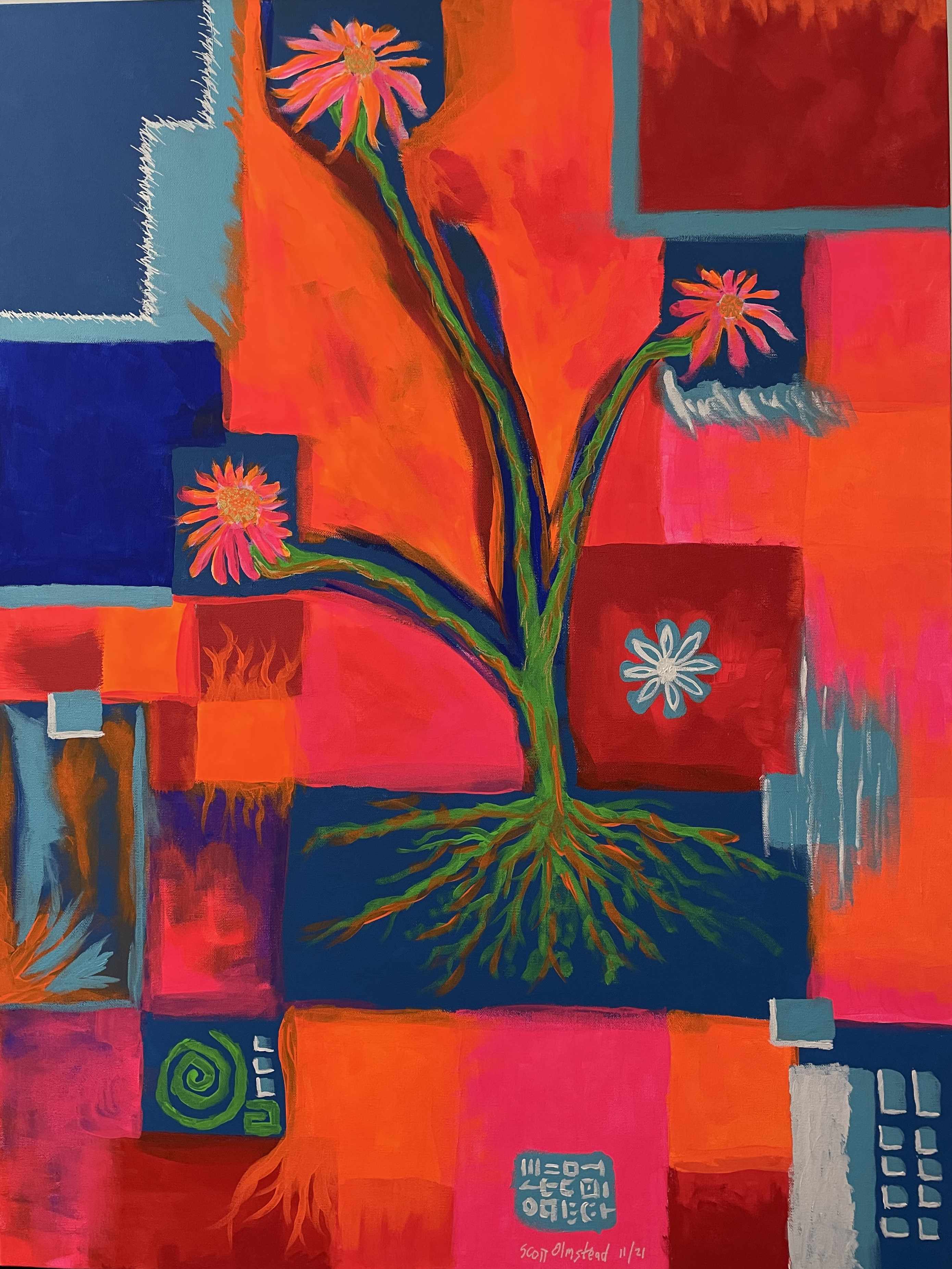 coneflower confusion by scott olmstead