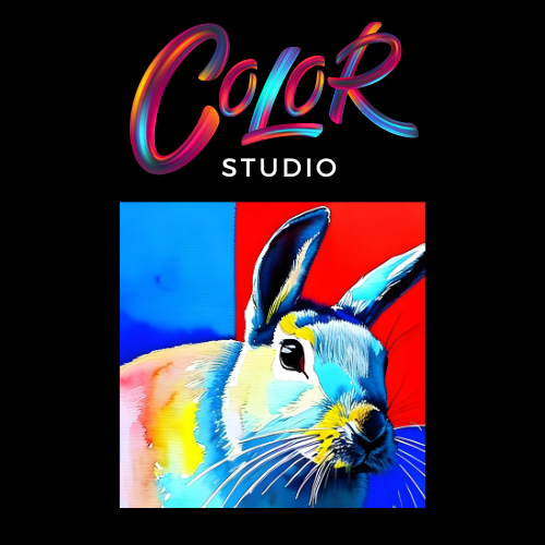 Color Studio Logo